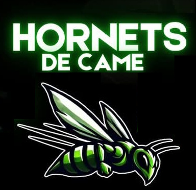 Hornets Football Américain